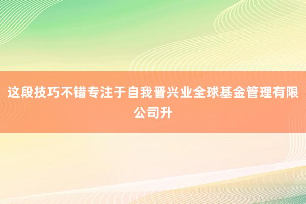 这段技巧不错专注于自我晋兴业全球基金管理有限公司升