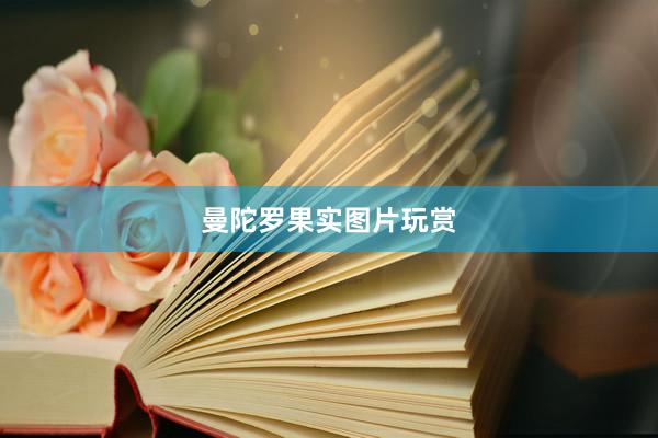 曼陀罗果实图片玩赏