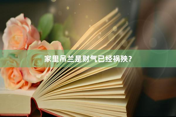 家里吊兰是财气已经祸殃？
