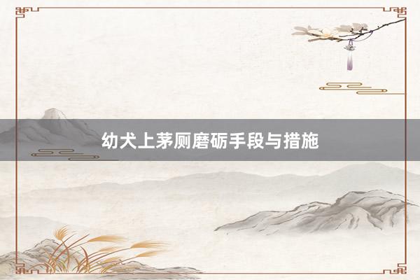 幼犬上茅厕磨砺手段与措施