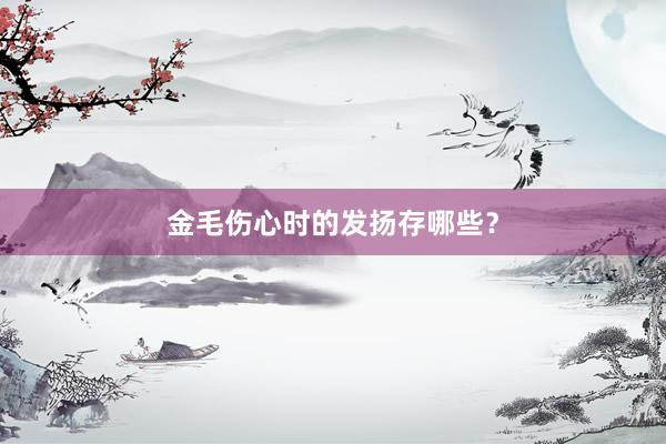 金毛伤心时的发扬存哪些？