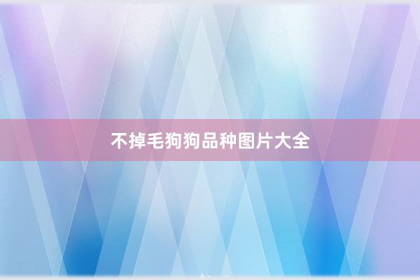 不掉毛狗狗品种图片大全